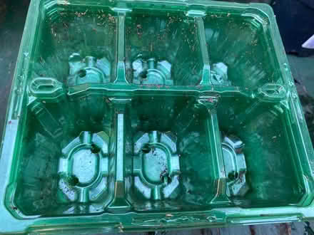 Photo of free Seed Trays / Small Growing Trays (Thurcaston LE7) #4