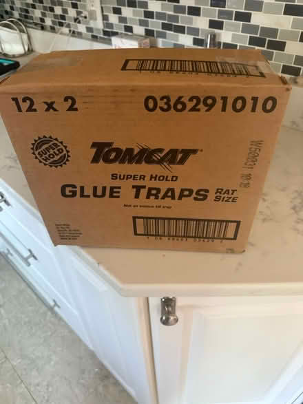 Photo of free Glue traps (Belford) #1