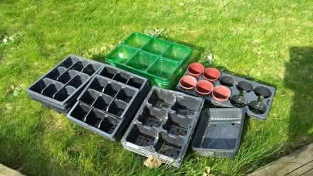 Photo of free Seed trays (Leckhampton GL53) #1