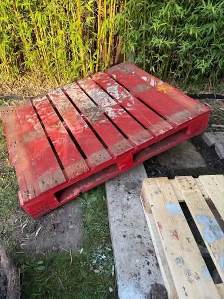 Photo of free Red pallet (Welling DA16) #1