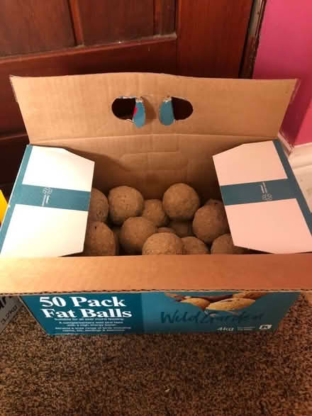 Photo of free Bird food - fat balls (Stroud GL5) #1