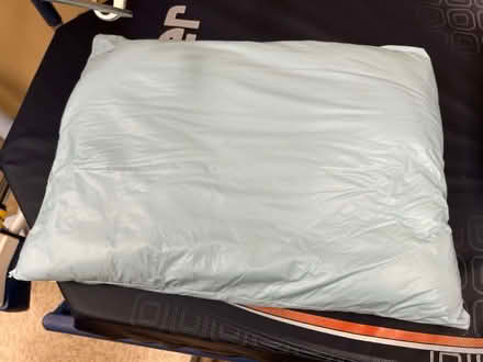 Photo of free Used but clean pillows (Woodlawn) #1