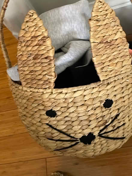 Photo of free Bunny Basket (Adams Morgan) #1