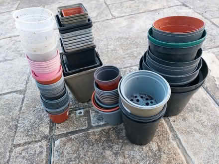 Photo of free Plant Flower Pots (Wareham BH20) #1