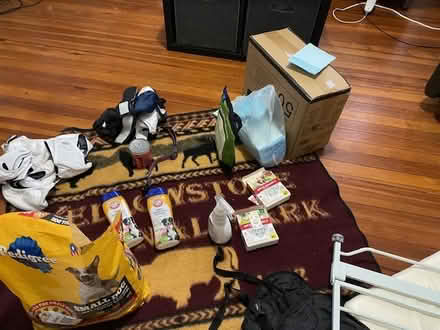 Photo of free Dog supplies (West Haven) #3