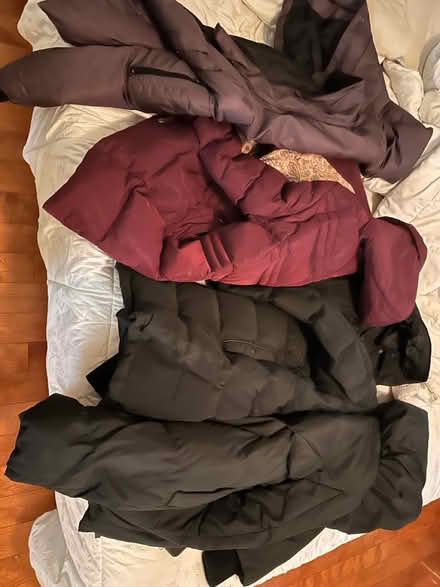 Photo of free 3 winter jackets (Finch station by yong street) #1