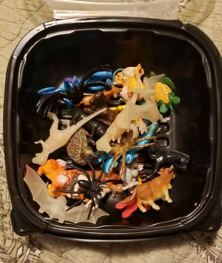 Photo of free Small toy animals (Kirkwood) #1