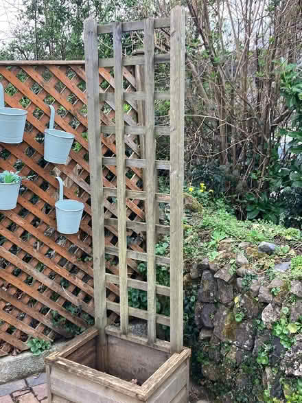 Photo of free Trellis planter (Tavistock) #1