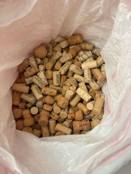 Photo of free Wine corks (Troy, off Adams bet BB/Wattles) #2