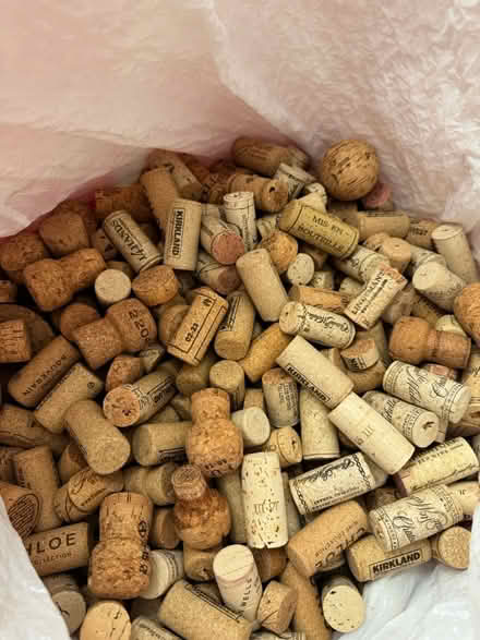 Photo of free Wine corks (Troy, off Adams bet BB/Wattles) #1