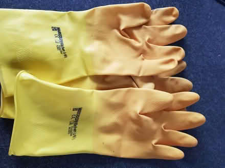 Photo of free Three LH large Marigolds (Brocton ST17) #1
