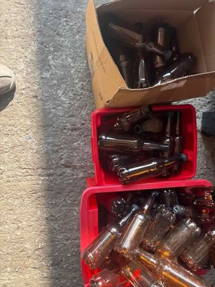 Photo of free Plastic bottles for home brewing (Euxton PR7) #1