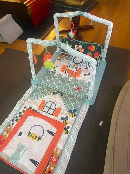 Photo of free Baby play mat/cubby (Curtin) #1