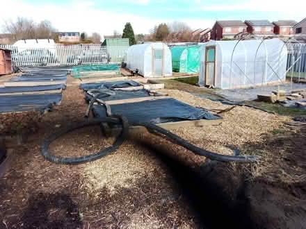 Photo of For Charity Allotment (Rawmarsh S62) #1