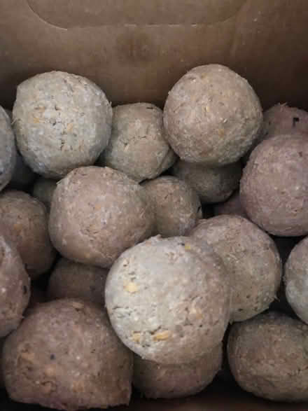 Photo of free Bird food - fat balls (Stroud GL5) #2