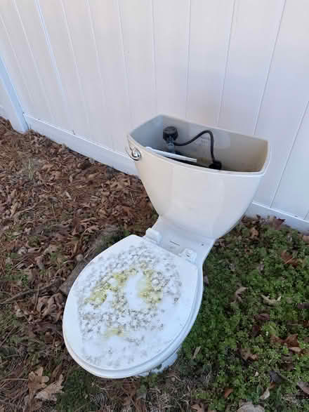 Photo of free Toilet no lid (Knightdale) #1