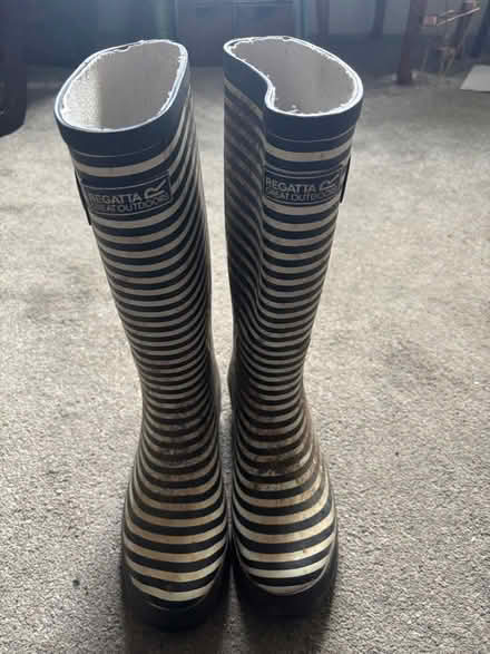 Photo of free Wellies, size 5 (Cashes Green GL5) #1