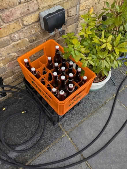 Photo of free Swing top bottles and crates (SE21) #1