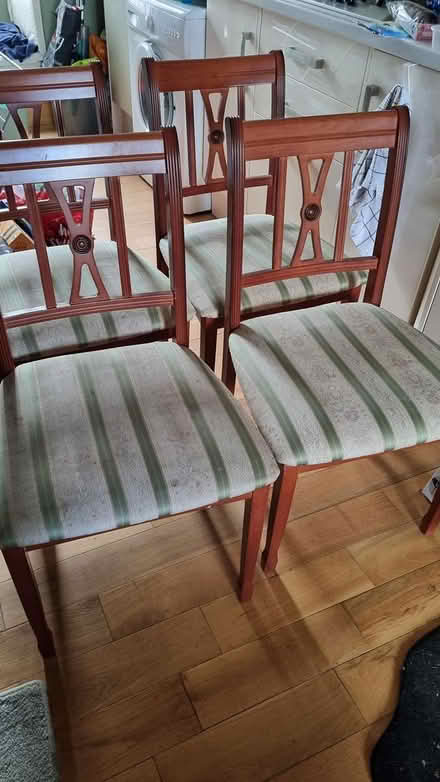 Photo of free Dining room chairs (PH10 Rattray) #1