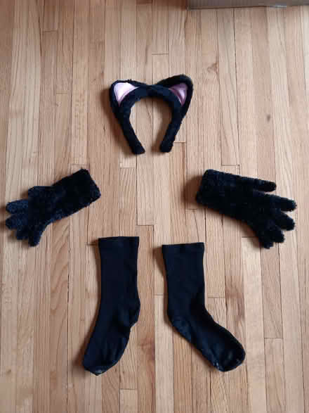 Photo of free BLACK CAT COSTUME for child (Eastern Lake View Terrace) #3