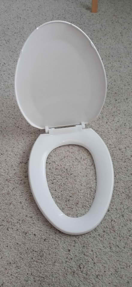 Photo of free Toilet seat (Bolingbrook) #1