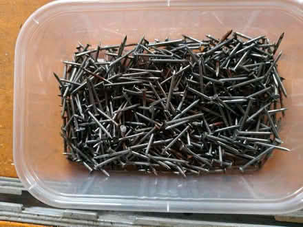 Photo of free 1" wire nails (Aldrington BN3) #1