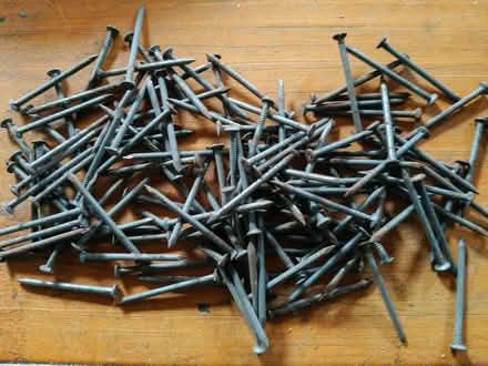 Photo of free 1 1/2" wire nails (Aldrington BN3) #1