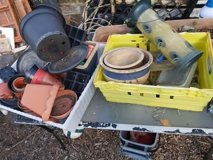 Photo of free Plant pots (Leegomery TF1) #1