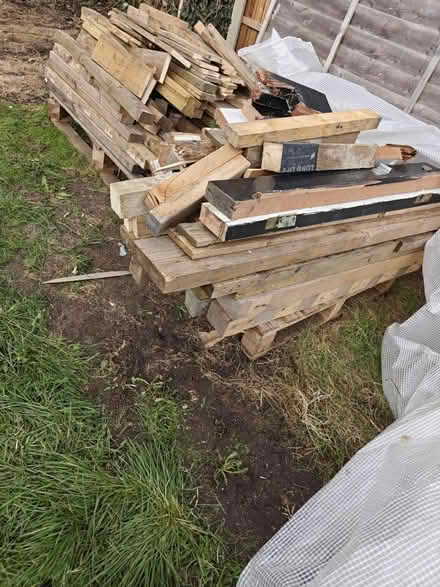 Photo of free Wood (Arlesey) #1