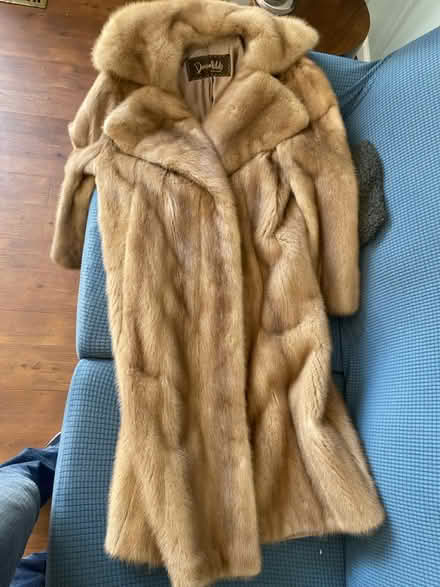 Photo of free Women's mink coat (West Chester) #1