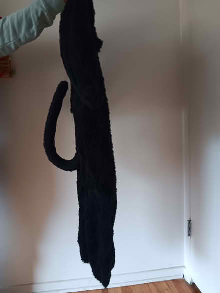 Photo of free BLACK CAT COSTUME for child (Eastern Lake View Terrace) #2