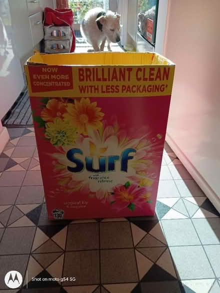 Photo of free surf washing powder (Drylaw EH4) #1