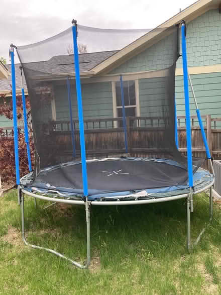 Photo of free Trampoline (Central Park, Denver) #1