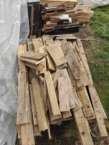 Photo of free Wood (Arlesey) #3