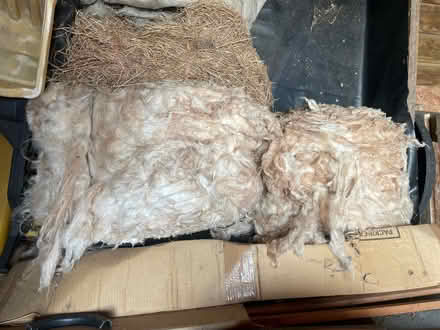 Photo of free 2 x 1/2 rolls of wool insulation (Dutton PR3) #1