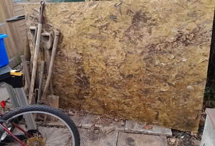 Photo of free Large piece of OSB (Buxted TN22) #1