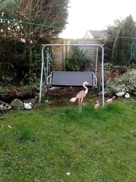Photo of free Garden swing (Fearnhead WA2) #1