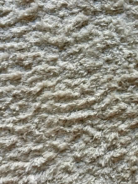 Photo of free White/Cream Shag Rug 7' x 10' (West Chelsea 23rd & 10th) #2