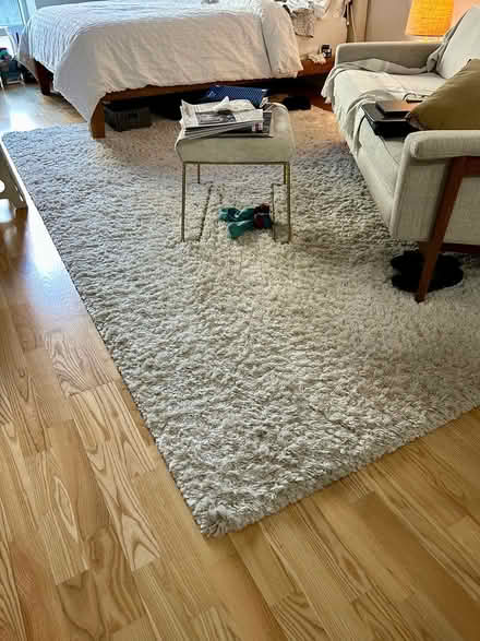 Photo of free White/Cream Shag Rug 7' x 10' (West Chelsea 23rd & 10th) #1