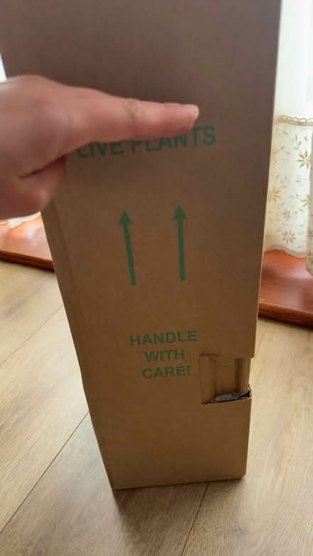 Photo of free Hydrangea plant (AL4) #2