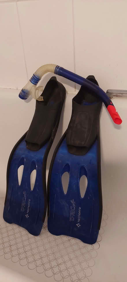 Photo of free Diving flippers - pair (University Area RG1) #1