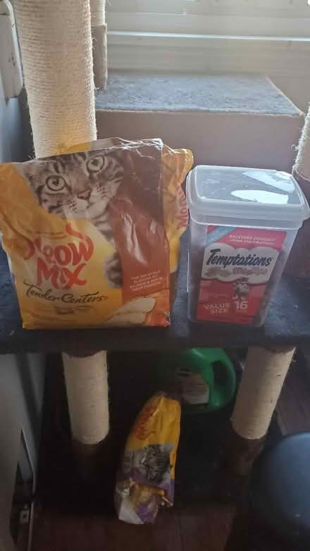 Photo of free Cat food and treats (south columbia) #1