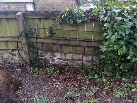 Photo of free Metal gate (Backworth, NE27) #1