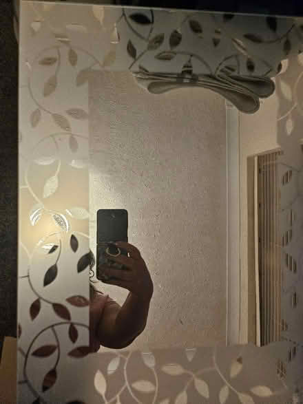 Photo of free Mirror (Ashton in Makerfield WN4) #1