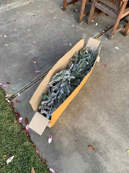 Photo of free 4 foot Christmas tree and lights (Willow Glen) #2