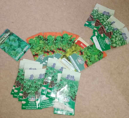 Photo of free Very old packets of seeds. (Greenstead CO4) #1