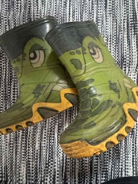 Photo of free wellies size 7 (GL3) #1