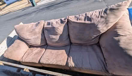 Photo of free Sofabed Sofa Bed (West side of Madison) #1