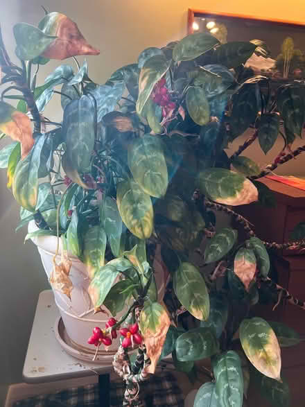 Photo of free Large plant with stand (Farmington Hills) #1