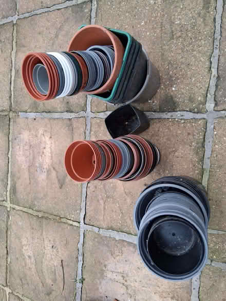 Photo of free Plastic Flower pots (Stonebridge BA11) #1